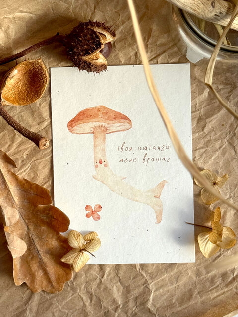 Postcard: “Your Ashtanga amazes me”