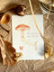 Postcard: “Your Ashtanga amazes me”