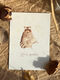 Postcard: “Happiness and Good Health!”