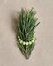 Bracelet "Spruce"