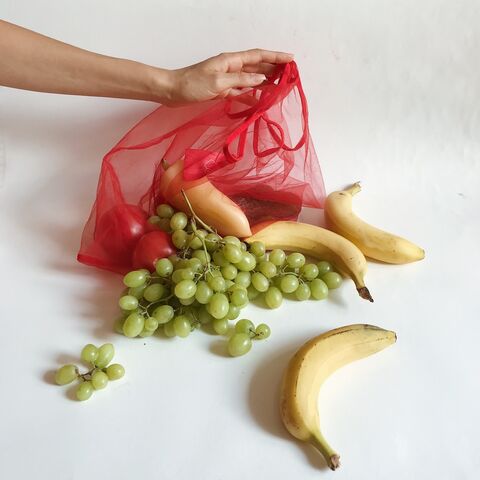 Red Bag Thank You No Need for a Plastic Bag