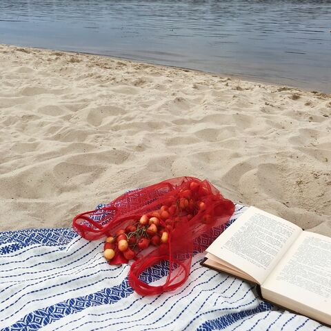 Red Bag Thank You No Need for a Plastic Bag